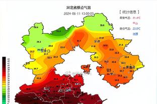 开云app官方网站入口手机版截图3